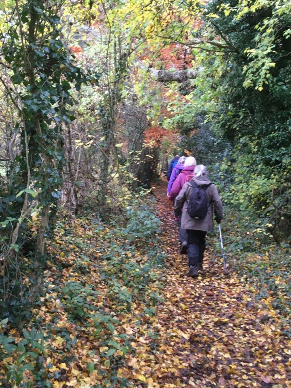 Brightwell to Wittenham Clumps